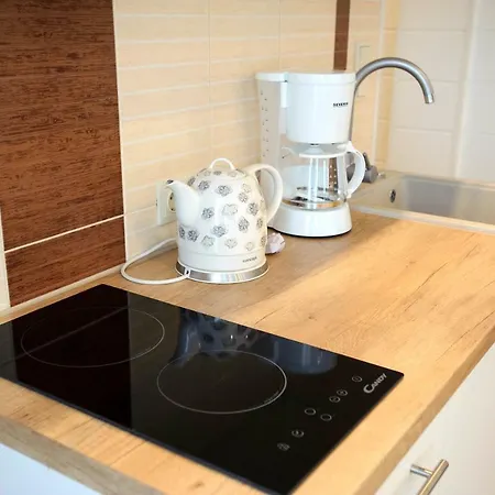 Karusselli Apartement Korter